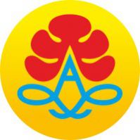 Arisu